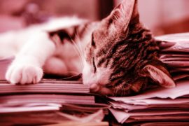 What We Are Reading – The Money Racing Edition