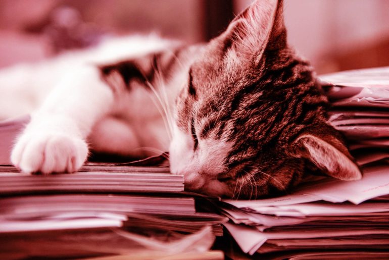 What We Are Reading – The Money Racing Edition